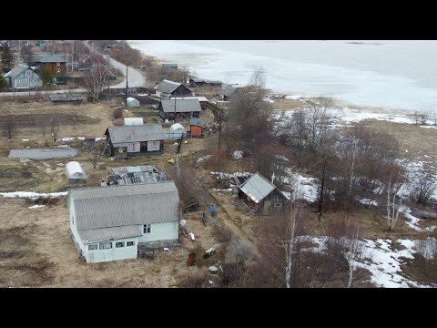 Видео: Заонежье. Купил дом в деревне. Начинаю разбирать. Корчую деревья и рву троса.
