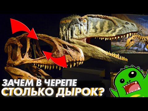 Видео: 🦖Почему ЧЕРЕП ДИНОЗАВРА похож на решето???