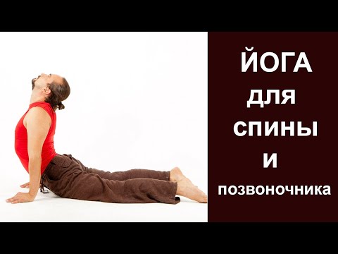 Видео: Йога для спины и позвоночника | Домашний комплекс асан | Здоровая спина | Александр Таишев.
