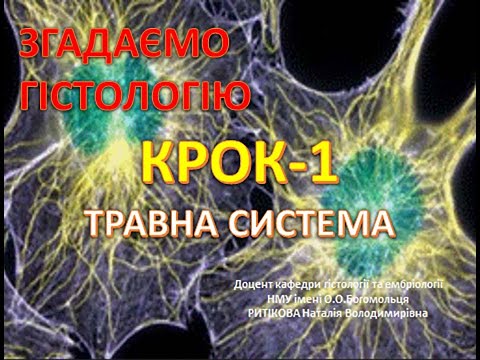 Видео: Гістологія до КРОК 1 = Травна система