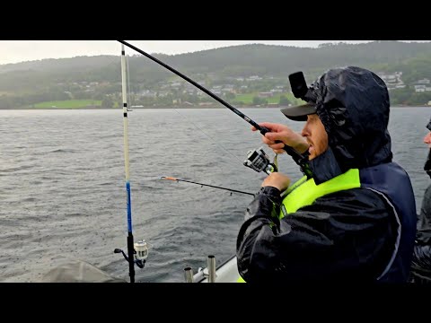 Видео: Рыбы было много! ОТЛИЧНАЯ РЫБАЛКА С ДРУЗЬЯМИ!!Рыбалка в Норвегии с ЛОДКИ. #lange_fishing