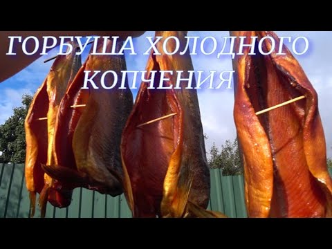 Видео: Горбуша холодного копчения