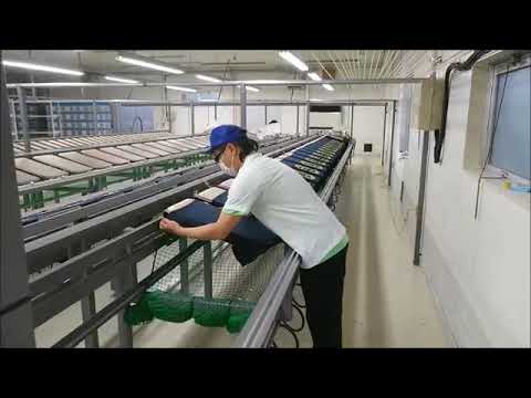 Видео: Шелкография на японской фабрике