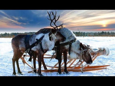 Видео: Кола Бельды - Мы поедем, мы помчимся на оленях утром...