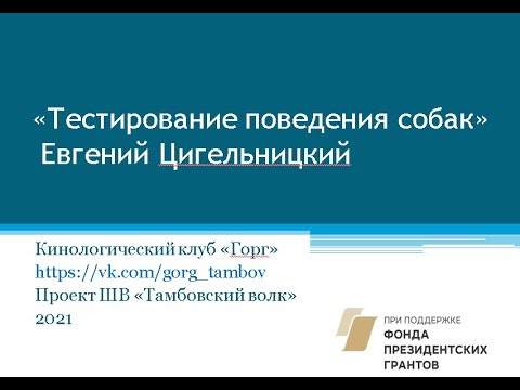 Видео: «Тестирование поведения собак» Евгений Цигельницкий