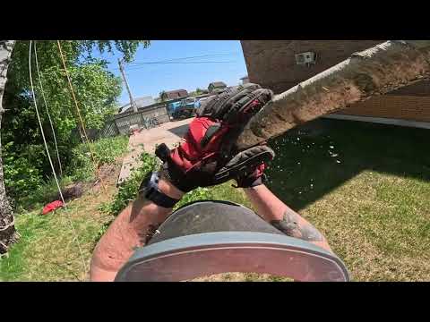 Видео: Арбористика, разбор березы. Я низовой