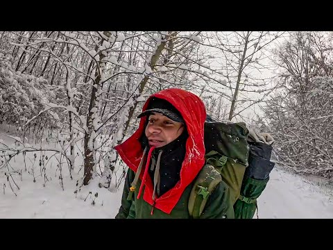 Видео: Ночь в лесу в снегопад