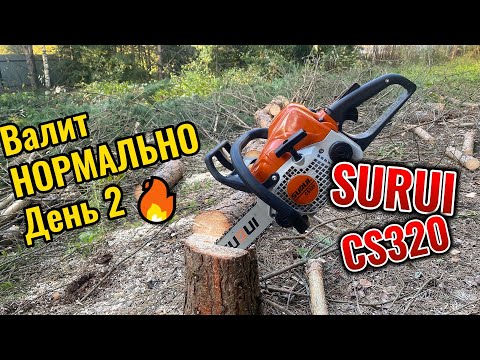 Видео: Бензопила SURUI CS 320 валит. Работаем 2-й день #surui #валитдеревья #бензопила