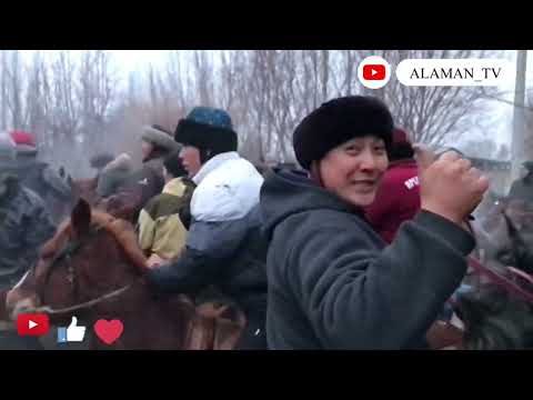 Видео: Аламан! Жайыл району Орто Суу айылында болгон Келин тойдогу Аламан