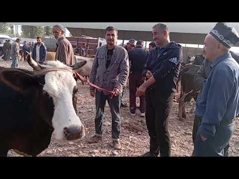 Видео: 👍👍👍мол бозори Вахдат сешанбе бозор 17-сентябр навори тоза.👍👍