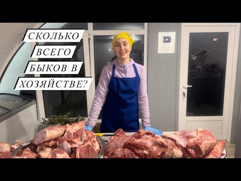 Видео: Перевезли всех Быков на мясную ферму! Убрали айрширского быка, какой вес? Жизнь в деревне!