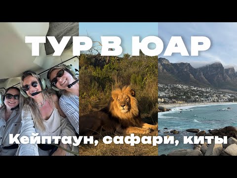 Видео: Лучшие места Кейптауна и Побережья | vlog18