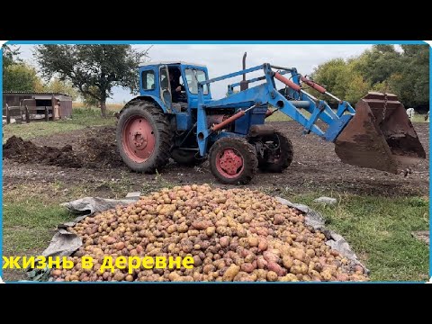 Видео: ЛЮДИ ПЛАТЯТ ЗА ЭТО ДЕНЬГИ А в ДЕРЕВНЕ ОНО ПОД НОГАМИ, Рецепт мясных чипсов в термокамере Hobbi Smoke