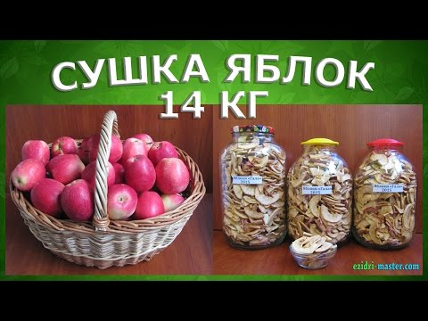 Видео: Как высушить яблоки в сушилке для фруктов? Нарезка и очистка 14 кг яблок за 20 минут.