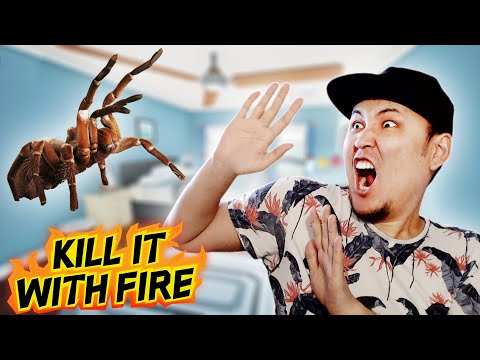 Видео: ЖҮРЕГІМ КӨТІМЕ ТҮСІП КЕТТІ