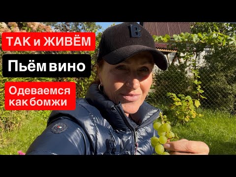Видео: 🔴 Так и живём: пьем вино, собираем урожай и смеёмся над собой #vlog 