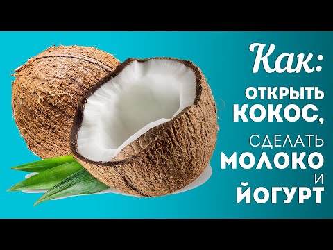 Видео: Как ОТКРЫТЬ КОКОС, сделать вкусное КОКОСОВОЕ МОЛОКО и приготовить из него Кокосовый ЙОГУРТ🍴