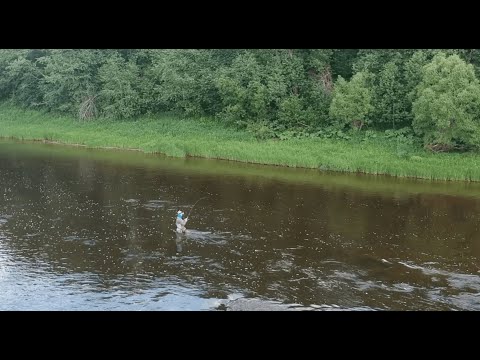 Видео: Ловля голавля на перекате / кастинг