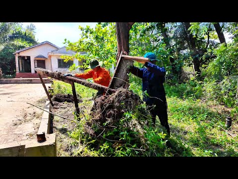 Видео: Как этот дом был брошен гнить...