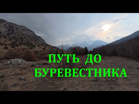Видео: ПУТЕШЕСТВИЕ К НИЖНЕМУ ОЗЕРУ! ПУТЬ ДО БУРЕВЕСТНИКА! ЧАСТЬ 1! Шымкент! Казахстан! Природа 4К!ПОДПИШИСЬ