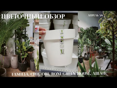 Видео: Цветочный обзор Familia, Син, Hoff, OBI, RONI Green House, Ашан / Апрель ‘24