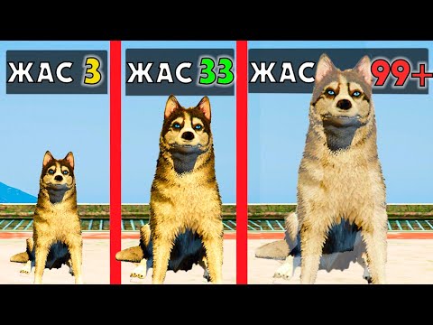 Видео: 99 ЖАСТАҒЫ РЕКС (GTA V)