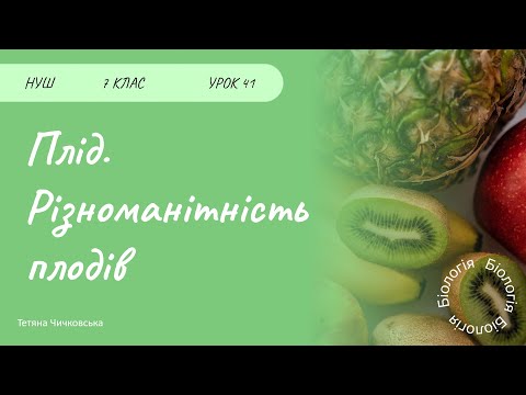 Видео: Плоди. Різноманітність плодів.