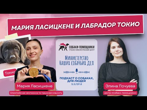 Видео: Мария Ласицкене и лабрадор Токио