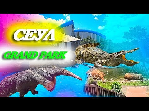 Видео: Сеул. Удивительный Grand Park! Что посмотреть в Сеуле? Южная Корея,