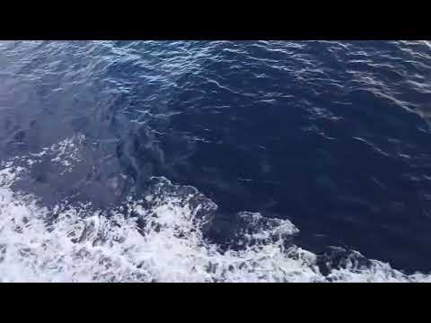 Видео: 10 октября 2025 г.
