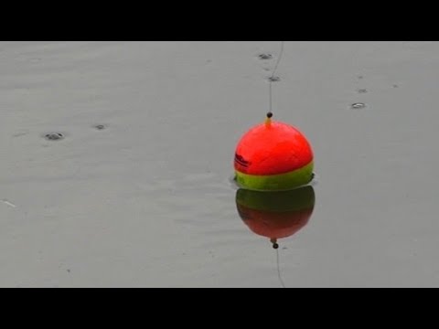 Видео: Супер рыбалка для ленивых! Самозасекающая снасть! Поплавок и волосяная оснастка в толще воды!