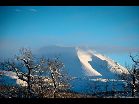 Видео: В тишине заснеженного устья