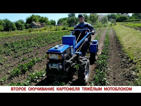 Видео: НЕ ЛЕГКО!! ВТОРОЕ ОКУЧИВАНИЕ КАРТОФЕЛЯ ТЯЖЁЛЫМ МОТОБЛОКОМ , ПРОПОЛКА КУКУРУЗЫ / POTATO HILLING