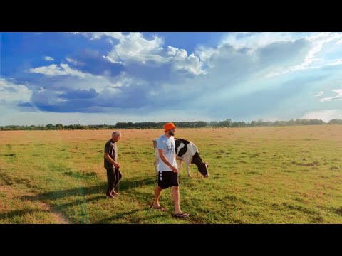 Видео: Часть 2. Гостим в деревне у т. Люси и д. Коли. Август 2025🥰