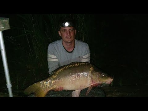 Видео: РЫБАЛКА В ТЯЖЁЛЫХ ПОГОДНЫХ УСЛОВИЯХ НА ПРУДУ "ДАЛЬНИЙ РАГ"