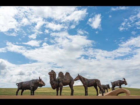 Видео: Прямой эфир: Открытие скульптурной композиции «Табан хушуун мал» & Соревнования "hэер шаалган"