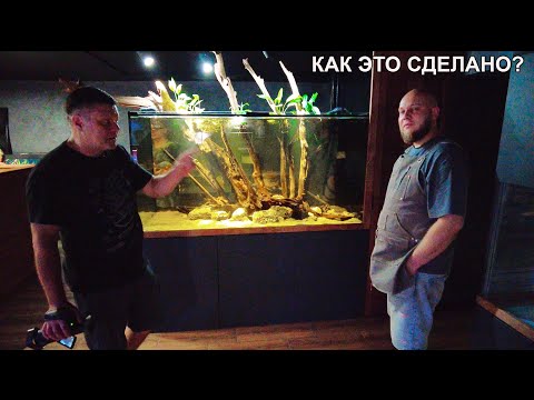 Видео: Как это сделано? Альберт все рассказал