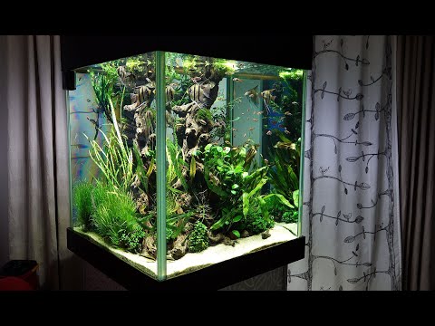 Видео: Медленный травник 450л