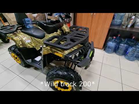 Видео: Замена обгонной муфты квадроцикл Wild track 200