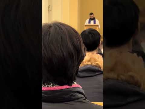 Видео: ❤️Ісусе, зціли всіх хворих🙏🏻