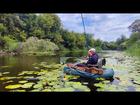 Видео: НАТЯГАВ МІШОК РИБИ ЗА ТРИ ГОДИНИ. Рибалка на поплавок