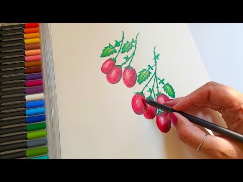Видео: Рисунок цветными карандашами Faber-Castell • Таймлапс-иллюстрация помидорчиков из огорода 🍅