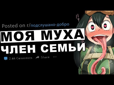 Видео: ПОДСЛУШАНО. Добрые истории