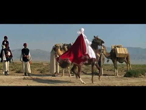 Видео: три пальмы