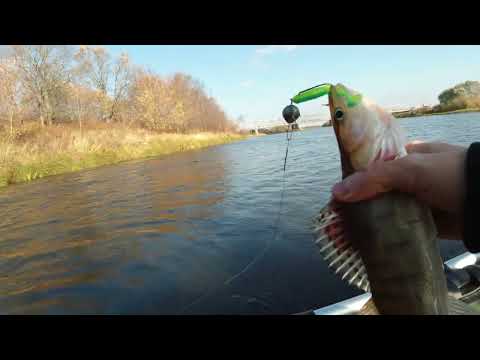 Видео: РЫБАЛКА НА СПИННИНГ ОСЕНЬЮ, ОКТЯБРЬ. СУДАК, ОКУНЬ!!!