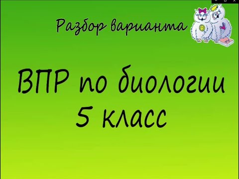 Видео: Биология. Разбор варианта ВПР по биологии 5 класс. Вариант 2