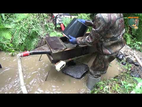 Видео: День третий. Моем минидрагой.