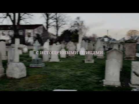 Видео: Nicole Dollanganger - Cement (русские субтитры)