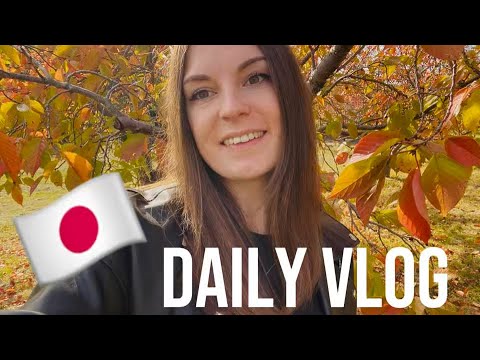 Видео: Daily vlog / жизнь в маленьком городе Японии - плюсы и минусы 🇯🇵