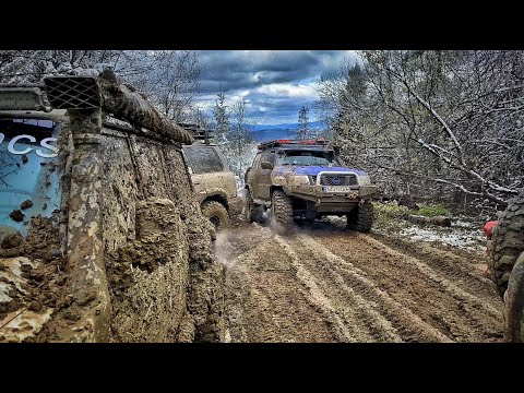 Видео: Карпатский Кордон 2021 вторая ночевка!